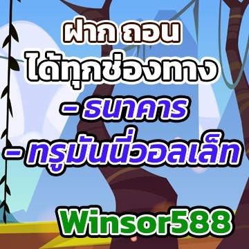 winsor588วอลเลท