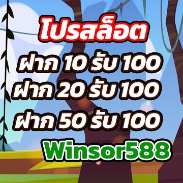 winsor588ทุนโปร