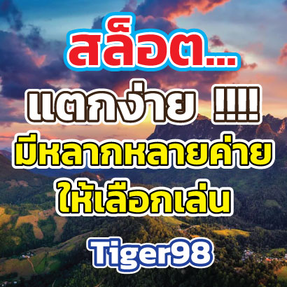Tiger98เล่น